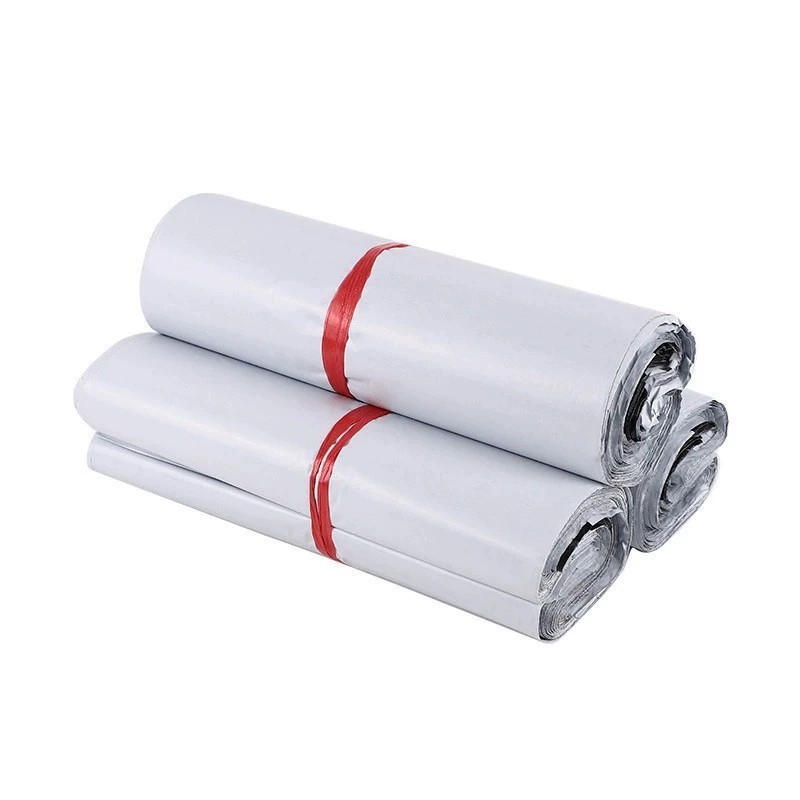 Express Post Bag